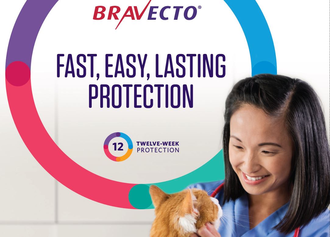 Bravecto leaflet best sale